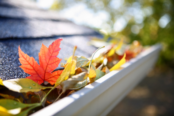 Gutter Cleaning